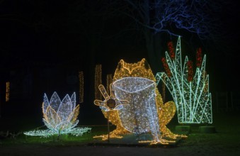 Le Frog, glowing frog, world of lights, municipal park, Magdeburg, most extensive Christmas and