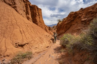 Mountaineers in a canyon with a dry stream bed, eroded mountain landscape with red sandstone rocks,