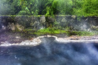 Geothermal, Park, Rotorua, New Zealand, Oceania