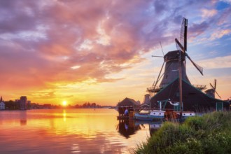Netherlands rural scene, - windmills at famous tourist site Zaanse Schans in Holland on sunset with