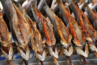 Steckerlfisch, fish, freshwater fish grilled on a stick over charcoal, historic Wies'n, Oide Wiesn,