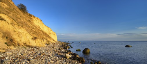 Cliffs and boulders on the coast of the Baltic Sea in the evening light, Reddevitzer Höft, Mönchgut