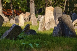 Old Jewish Cemetery, Prague, Czech Republic, Europe
