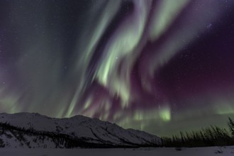 Green, yellow and purple northern lights (aurora borealis) over snowy mountains, northern lights