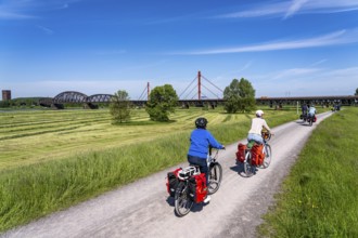 Rhine meadows near Duisburg-Beeckerwerth, footpath, cycle path on the Rhine dyke, cycle path,