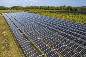 Agri-photovoltaic test plant, an apple orchard with two different systems of PV modules was roofed