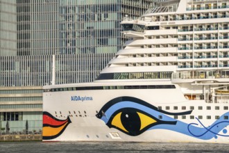 Rotterdam, skyline at the Nieuwe Maas, skyscrapers at the Kop van Zuid district, cruise ship Aida