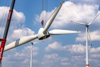 Repowering of a wind farm near Issum, 9 older wind turbines from the manufacturer Enercon (model