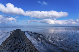 The Wadden Sea, East Frisia, between Bensersiel and Neuharlingersiel, Breakwater behind the dyke,