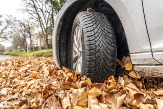 Driving on autumn leaves, slippery surfaces, leaves, grip from winter tyres
