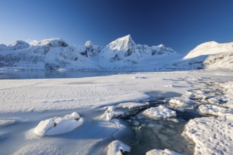 Frozen fjord with snow-covered mountains, Flakstadpollen, Flakstadøya, Lofoten, Norway, Europe