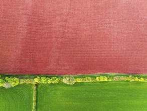 Top Down over Fields and farms from a drone, Torquay, Devon, England, United Kingdom, Europe