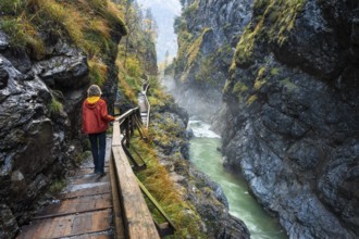 The River Lammer in the Lammerklamm gorge. A hiker on her way through the gorge. Autumn. Scheffau,