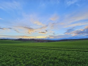 Wide green field under a blue sky with clouds during sunset, Mönchberg, Mltenberg, Spessart,
