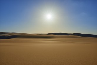 The endless expanse of a desert with golden sand dunes under a bright blue sky and the glistening