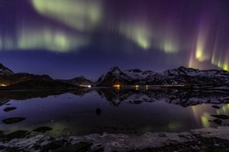 Northern lights over fjord, steep mountains, winter, aurora borealis, Flakstadoya, Lofoten, Norway,