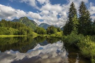 Moorweiher, Oberstdorf, Oberallgäu, Allgäu, Bavaria, Germany, Europe