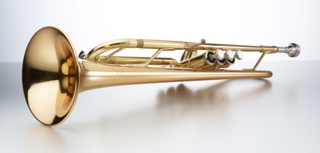 Trumpet in front of a white background, studio shot