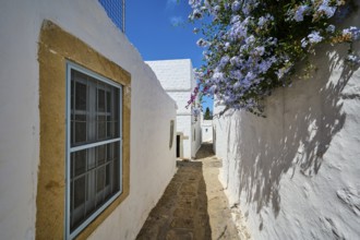 Narrow street with white walls, a window and blooming flowers under a blue sky, Chora, main town of