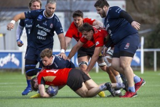 Rugby: Germany against MKS Pogon Awenta Siedlce, Poland in Heidelberg (test match of the German
