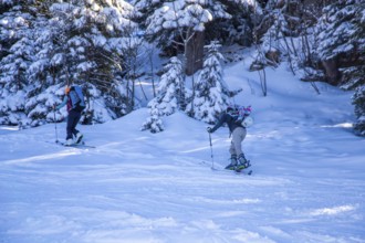 Oberjoch, Bavaria: Ski tourers on the ascent. Ski touring is becoming increasingly popular