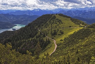 Panoramic view from the Herzogstand of wooded mountains and a winding hiking trail, with Lake