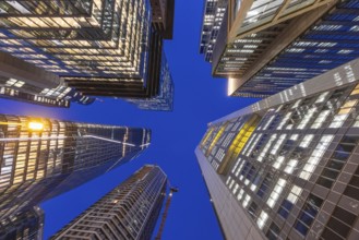 The lights in the offices of Frankfurt's banking skyline glow in the evening. Frankfurt am Main,