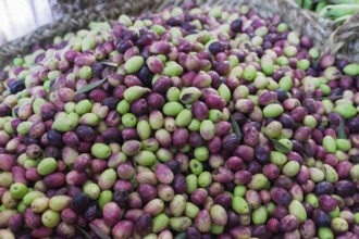 Selling olives at a traditional Moroccan market, Medina Fes, Morocco, Africa