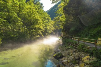 Beams of sunlight shining through morning mist over the clear green waters of radovna river flowing
