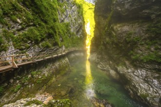 Sunlight illuminates moss covered cliffs and clear water flowing through vintgar gorge near bled,