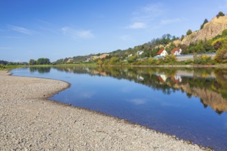 On the Elbe near Meißen opposite Karpfenschänke, Meißen, Saxon Elbland, Saxony, Germany, Europe