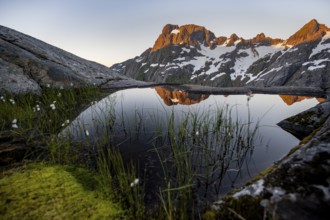Rocky mountain peaks with reflection, small pond with cotton grass in moor landscape at Trollfjord
