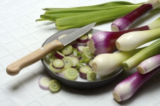 White and purple spring onions and onion slices in their skins, spring onion