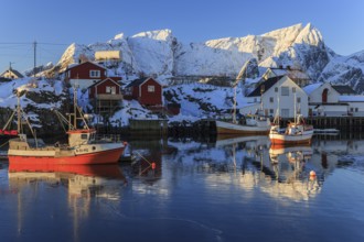 Fishing boats in fjord in front of snowy mountains, morning light, winter, Reine, Moskenesoya,