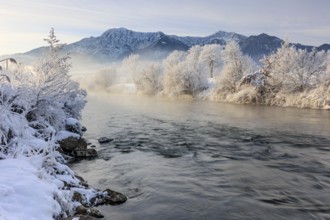 River and trees in hoarfrost in front of mountains, winter, Loisach, view of Herzogstand and