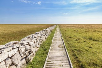 Long straight footpath by a stone wall over a moor to the horizon in a desolate landscape