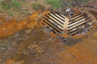 Contaminated rust colored water draining into sewer system at edge of a grass lawn in spring,