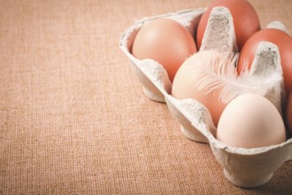 Fresh eggs, in cardboard containers, carriage, brown