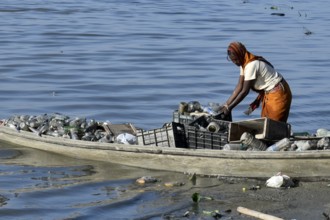 A women rag picker collecting plastic bottle and other plastic materials in a boat from the bank of