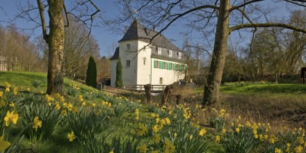 Goldberg Mill in spring, historical sight, Mettmann, Bergisches Land, North Rhine-Westphalia,