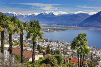 View over the city of Locarno and Lake Maggiore with snow-capped mountains in the background,