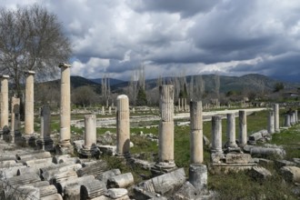 Excavation site site of the ancient city of Aphrodisias, today's city of Geyre, Karacasu, Aydin,