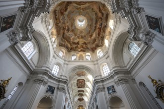 Vaulted ceiling with frescoes, Neumünster, collegiate church, Würzburg, Lower Franconia, Bavaria,