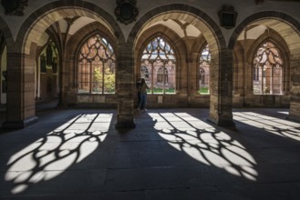 Cloister, Basel Minster, Basel, Canton of Basel-Stadt, Switzerland, Europe