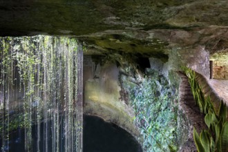 Ik Kil Cenote located in the northern center of the Yucatan Peninsula, a part of the Ik Kil