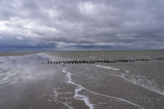 North Sea island Spiekeroog, East Frisia, Lower Saxony, Germany, beach at low tide on the west