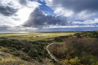 North Sea island of Spiekeroog, East Frisia, Lower Saxony, Germany, marshes, salt marshes,