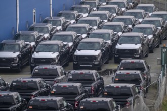 Ford FX4 pickup trucks on stockpile, in the overseas harbour of Bremerhaven, after import from the