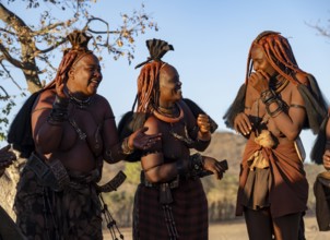 Traditional Himba woman clapping and laughing, music and dance, portraits, in the evening light,