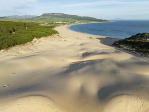 The famous dune of Bolonia at the sandy coastline of the Atlantic Ocean and framed by forests of